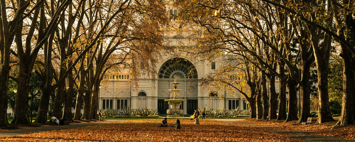 Açık Erişimli Yapay Zeka ve Makine Öğrenmesi Müfredatı
